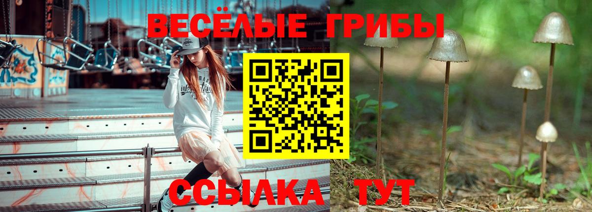 магазин    Вход с VPN  Сальск  Псилоцибиновые грибы MAGIC MUSHROOMS 
